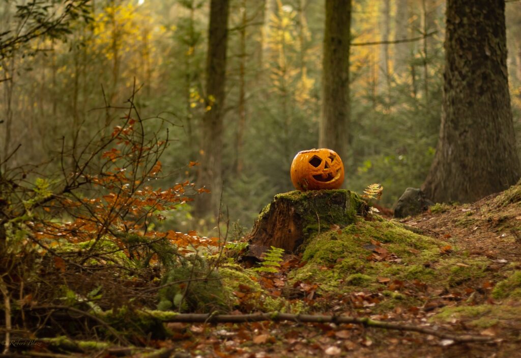 Une tete de citrouille dans les bois pour le pumpking automne challenge